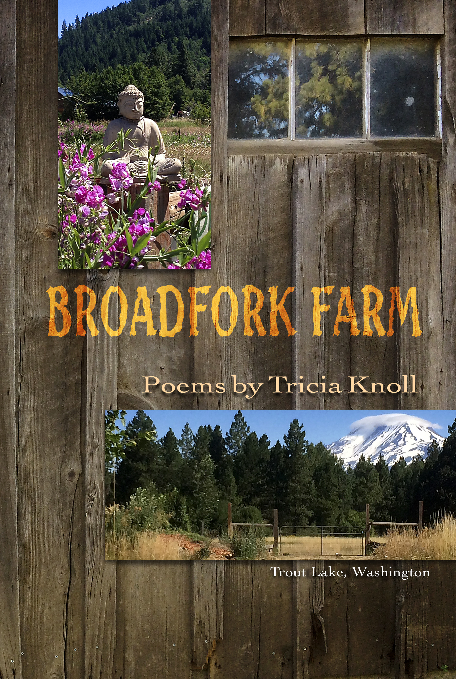 Broadfork Farm by Tricia Knoll, reviewed by Wallace Kaufman