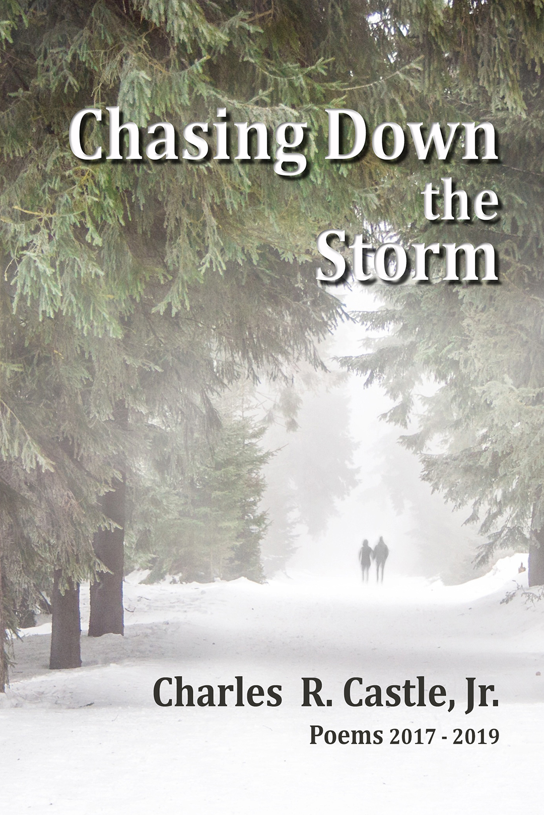 Chasing Down the Storm – by Charles R. Castle, Jr. reviewed by Joy McDowell