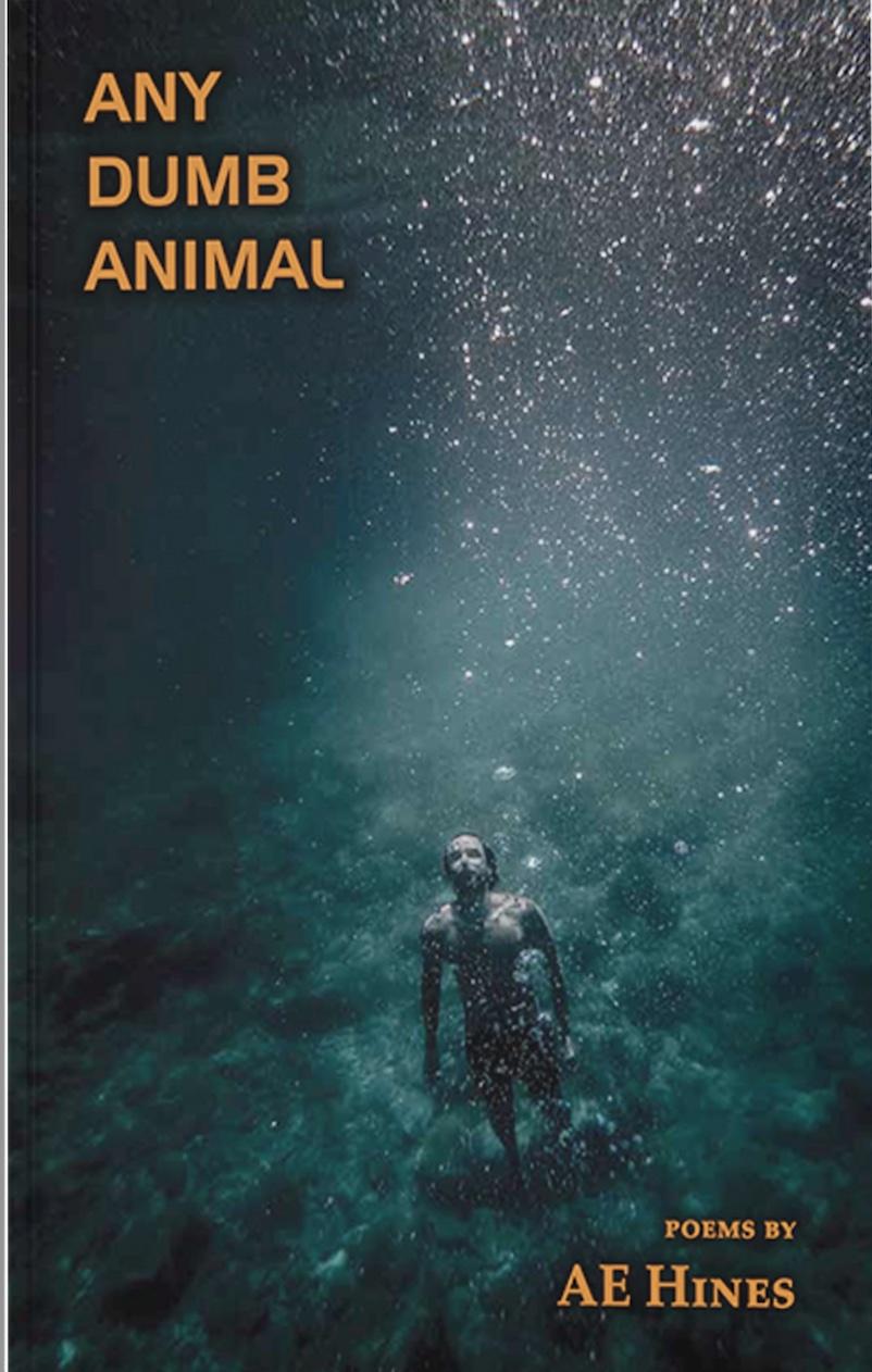 Any Dumb Animal, by AE Hines, reviewed by Jeanne Yu