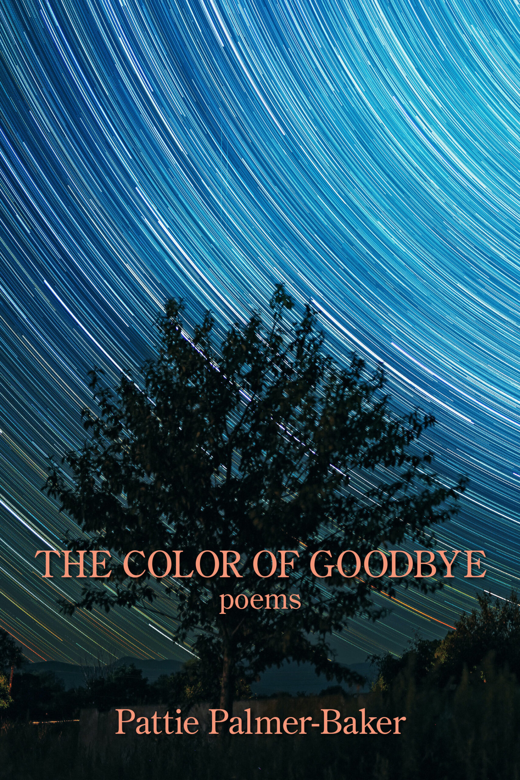 The Color of Goodbye, by Pattie Palmer-Baker, reviewed by Tricia Knoll