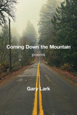 Coming Down the Mountain book cover, a road going through trees