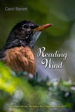 Book cover of Reading Wind, a robin sitting in greenery